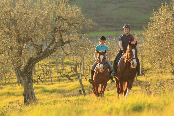 Equitazione di base e passeggiate a cavallo nella campagna toscana